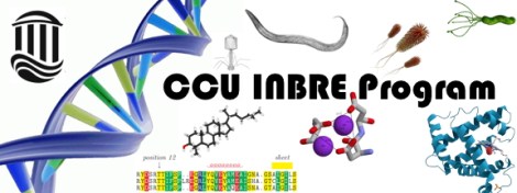 INBRE Logo